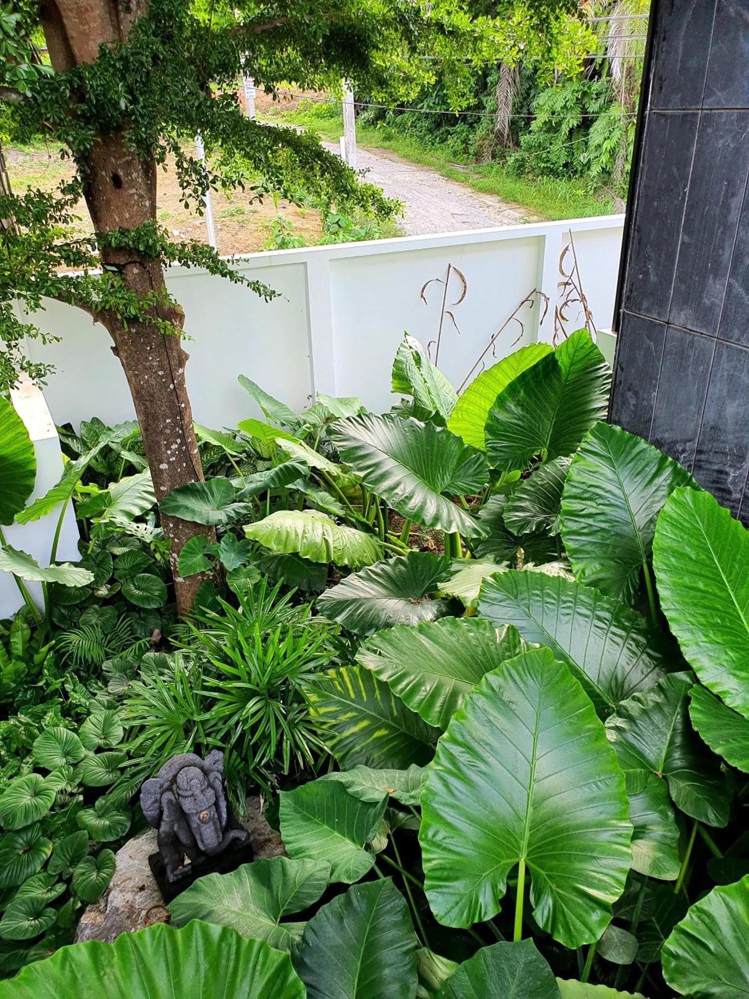 Luxury Beachfront Amana Villa 4 Bedroom At Ta-Ke Residence A *