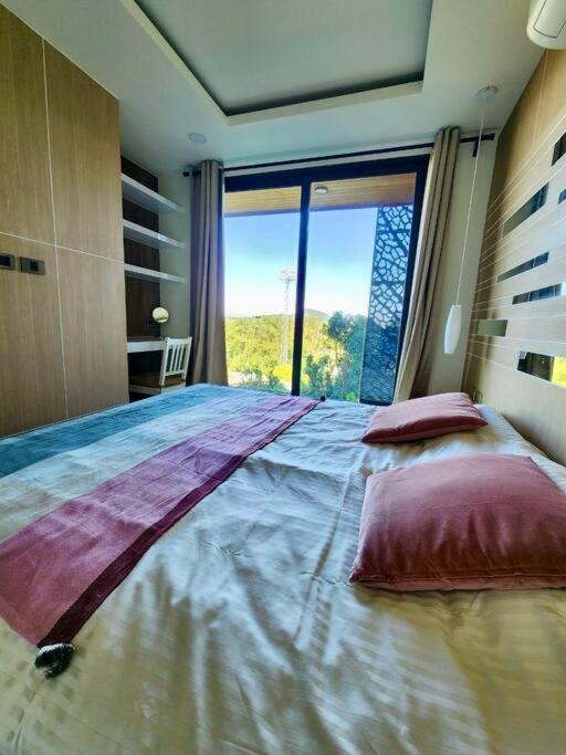One Bedroom Calypso Garden Apartment *