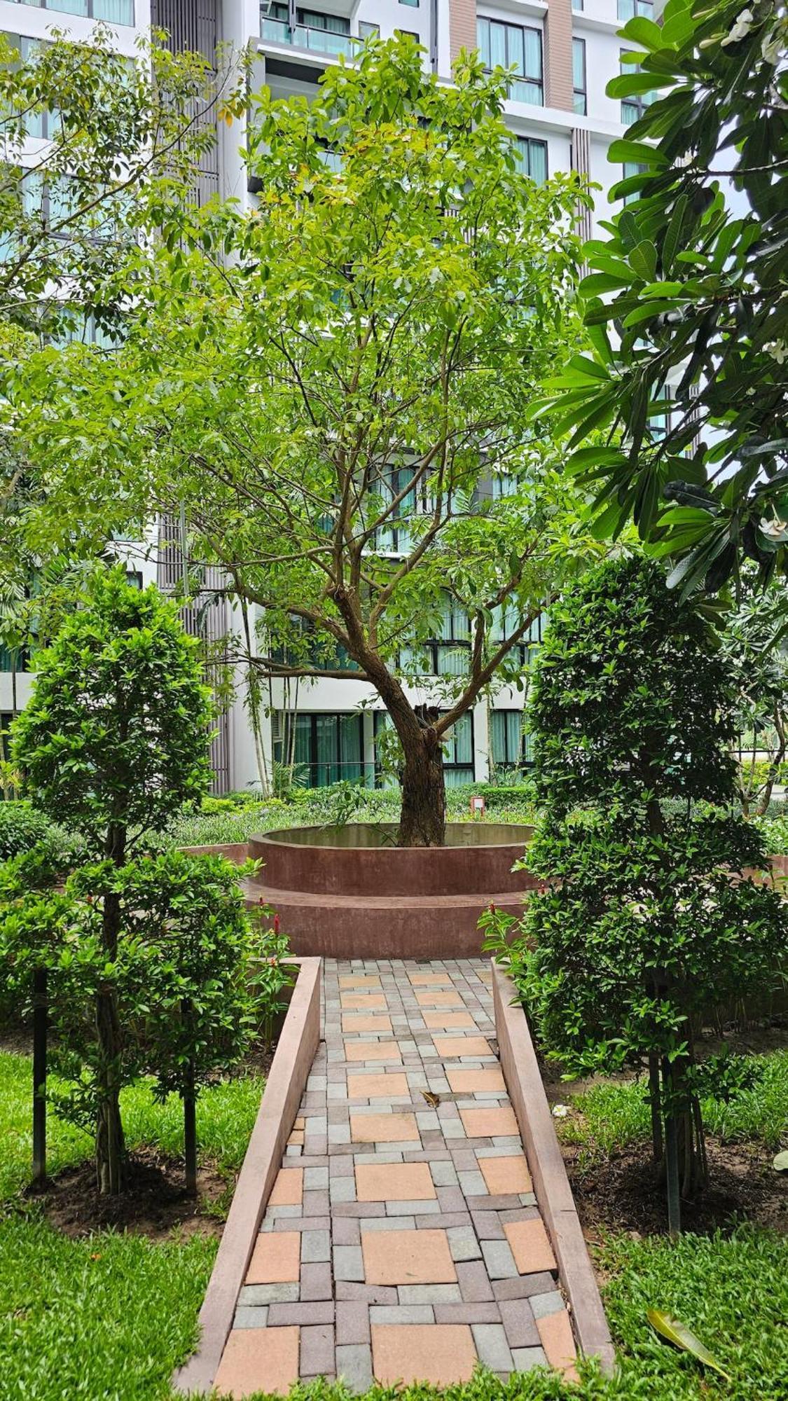 Tropical Oasis For Digital Nomads, Nai Yang Apartment