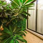 The Lago Apartments 2Bd