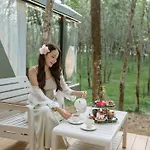 Timber Society Boutique Hideaway