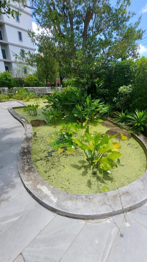Apartment Cozy Close To Amazing ! 39 Sqm