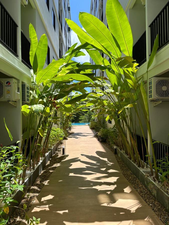 Apartment Great Hill Naiyang Cozy *