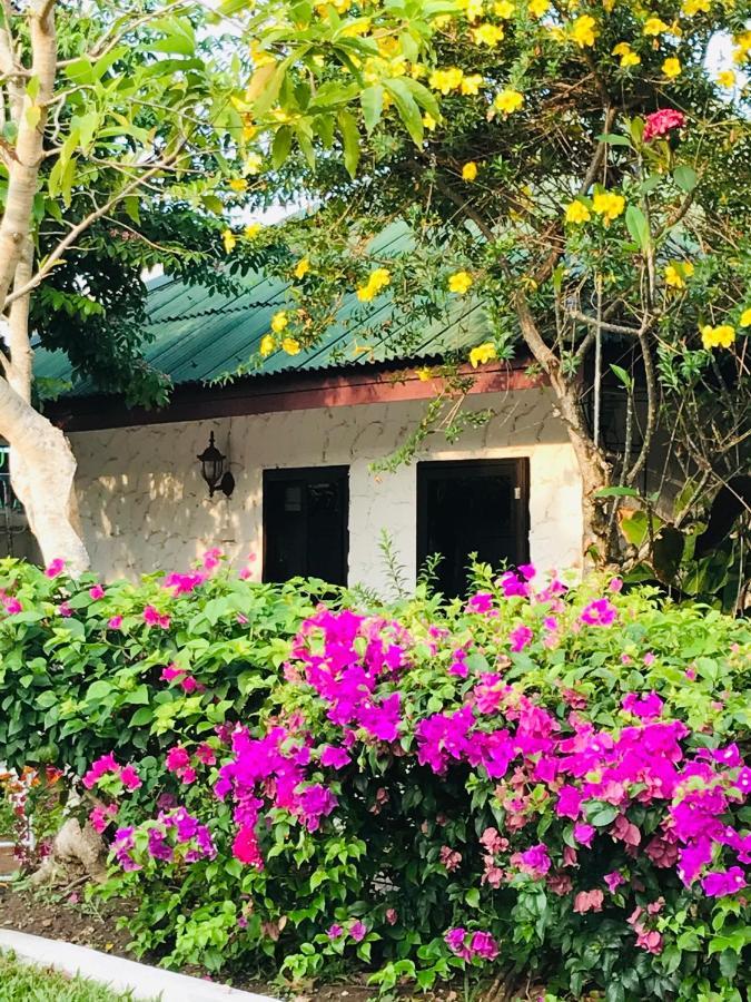 Holiday home Guest House, Shared Pool, Private Bathroom And Kitchen
