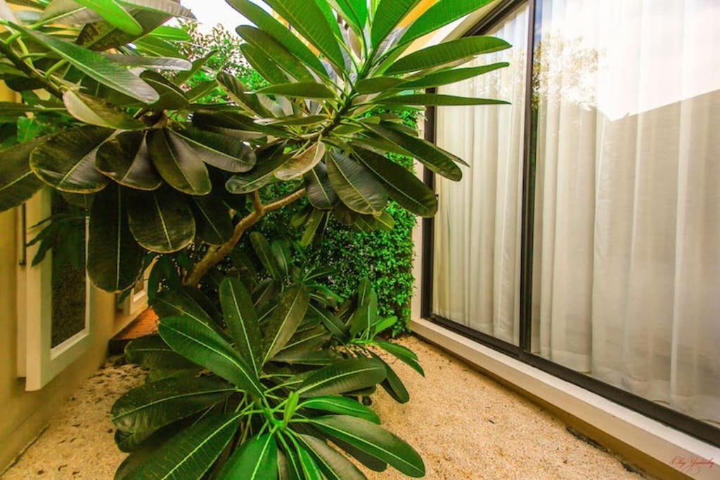 The 2bd Apartment
