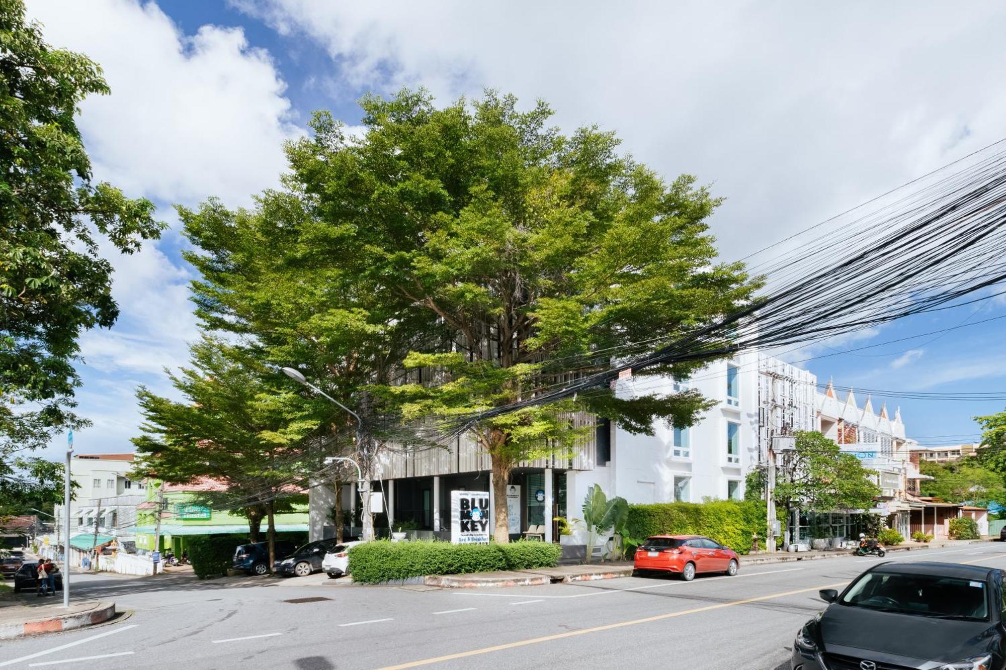 Hotel Blu Monkey - Sha 3*