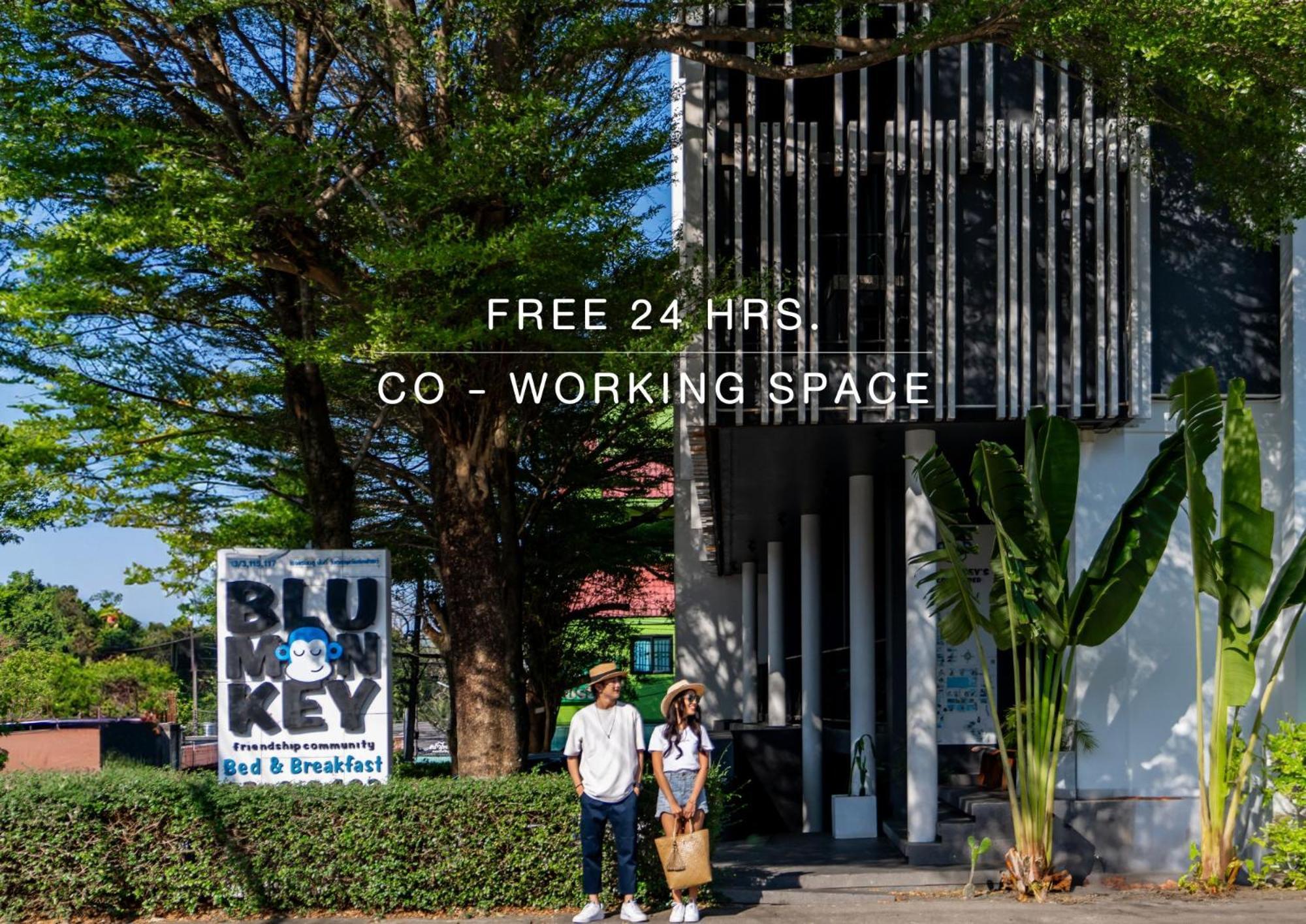 Blu Monkey - Sha Hotel Phuket