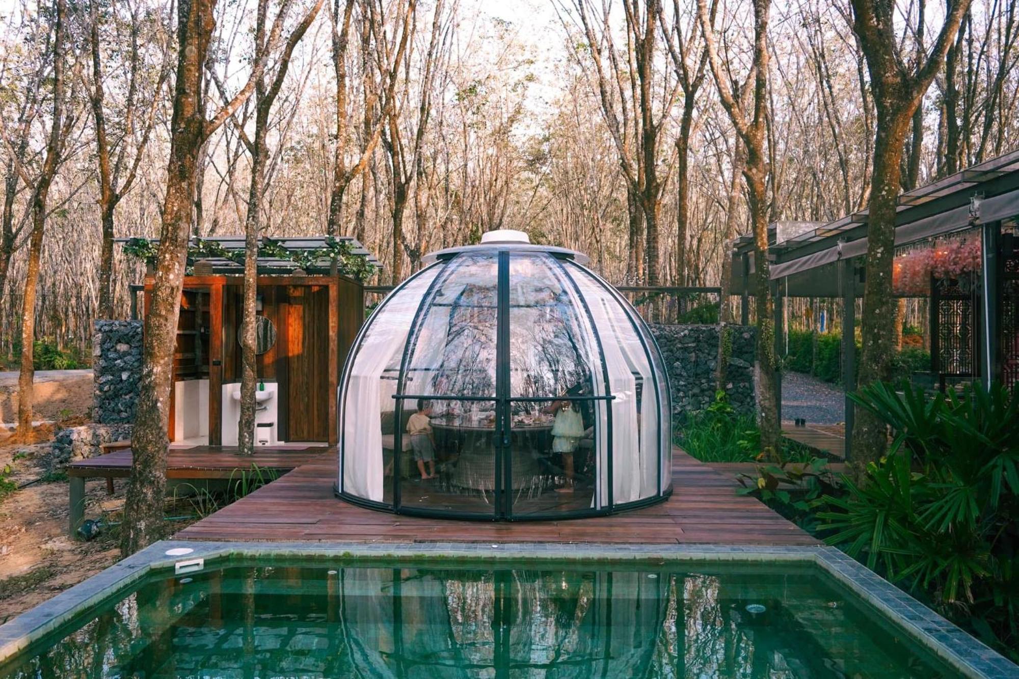 Hotel Timber Society Boutique Hideaway