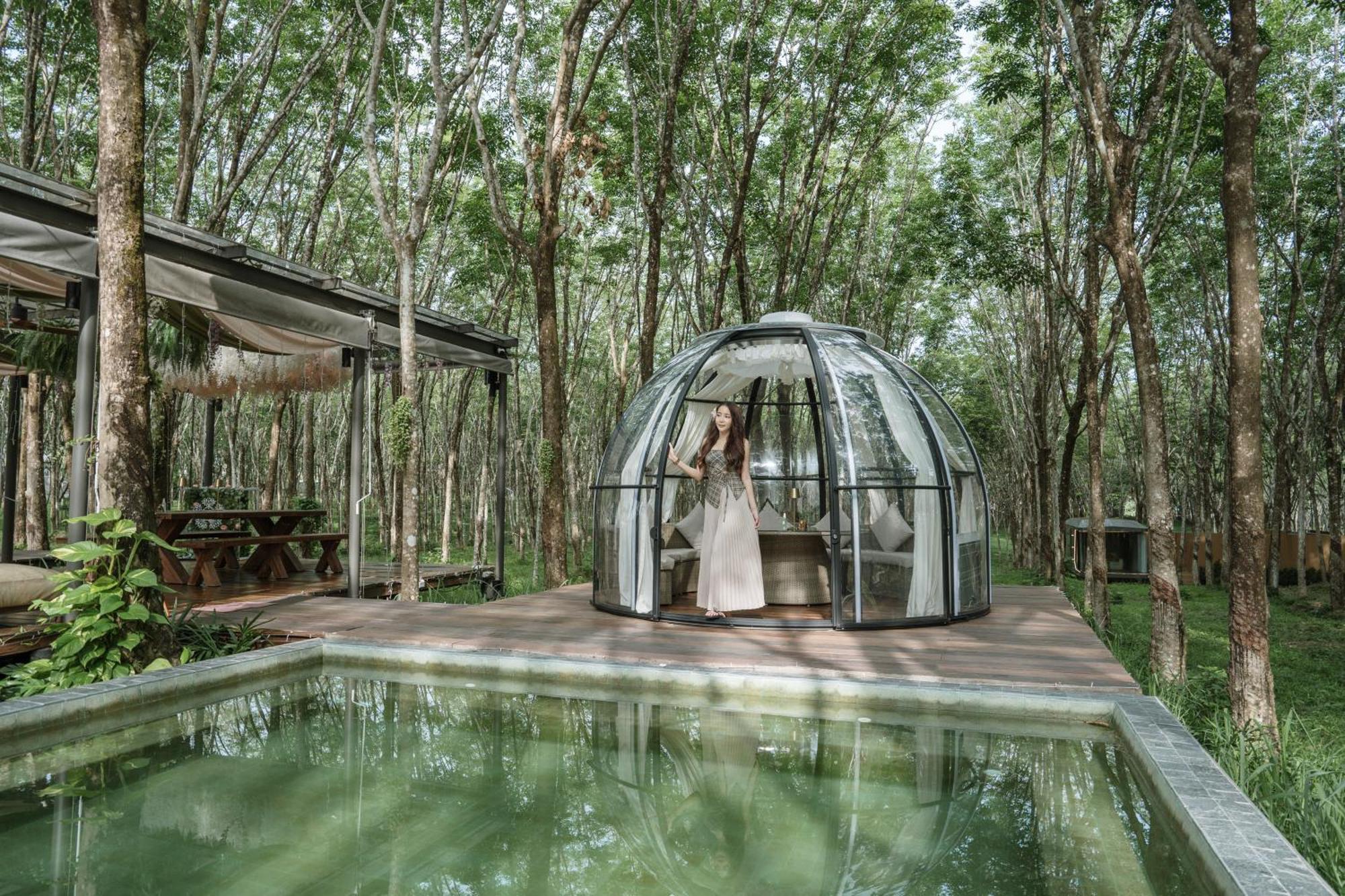 Timber Society Boutique Hideaway Phuket