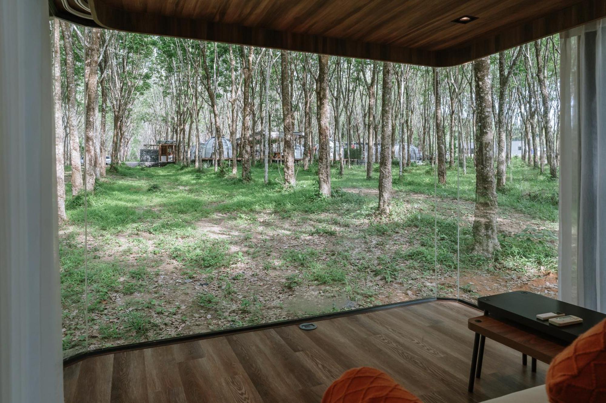 Timber Society Boutique Hideaway Phuket