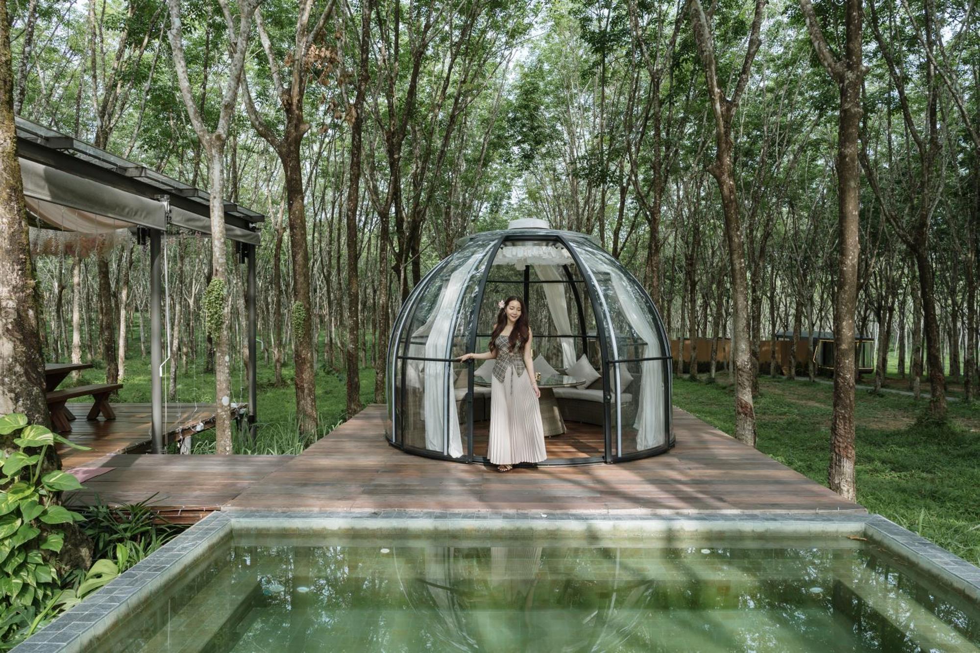 Hotel Timber Society Boutique Hideaway