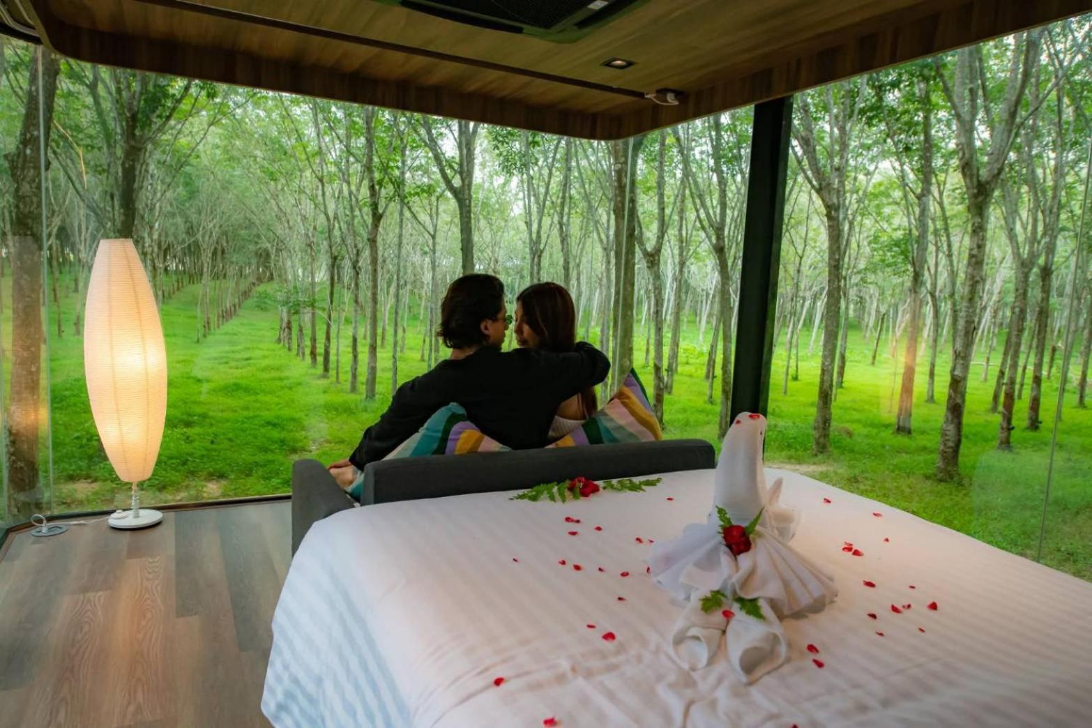 Hotel Timber Society Boutique Hideaway