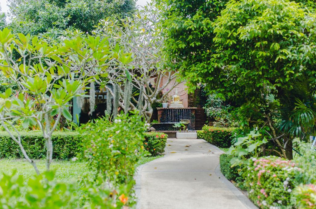 Karon Whale Phuket