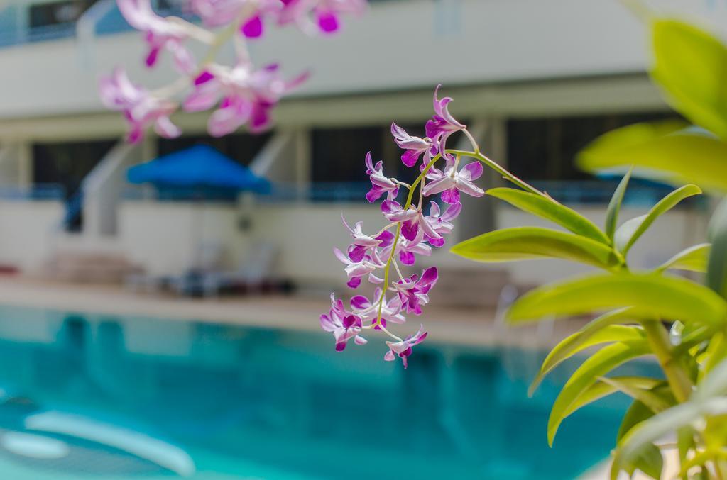 Karon Whale Hotel 3*