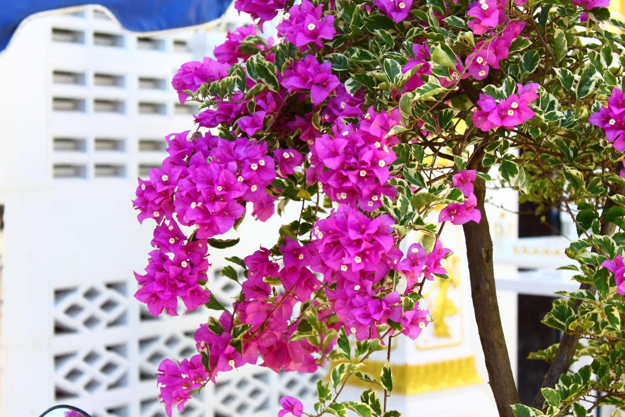 Pk Phuket