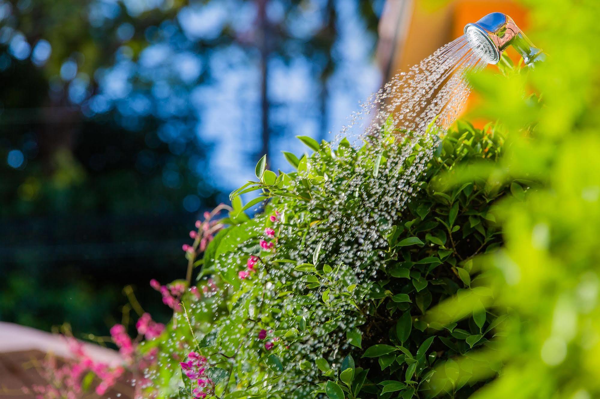Hotel Lemon Tree Naturist Resort Naiharn Beach Phuket
