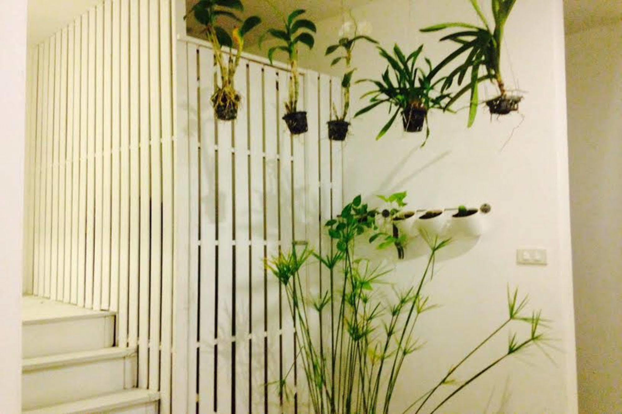 Hostel Chino Town At Yaowarat Phuket - Sha Plus