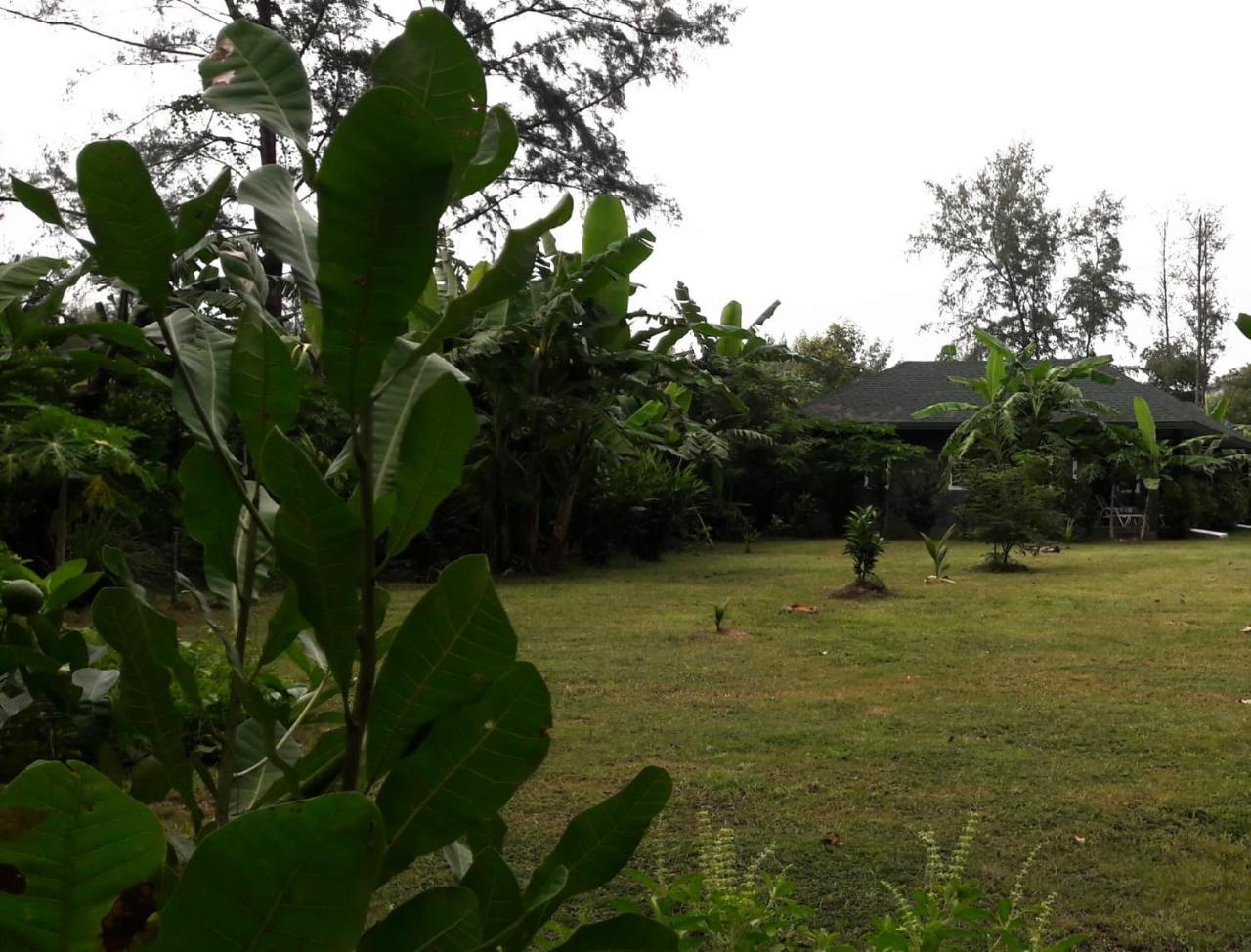 Guest house Layan Natural Bungalow