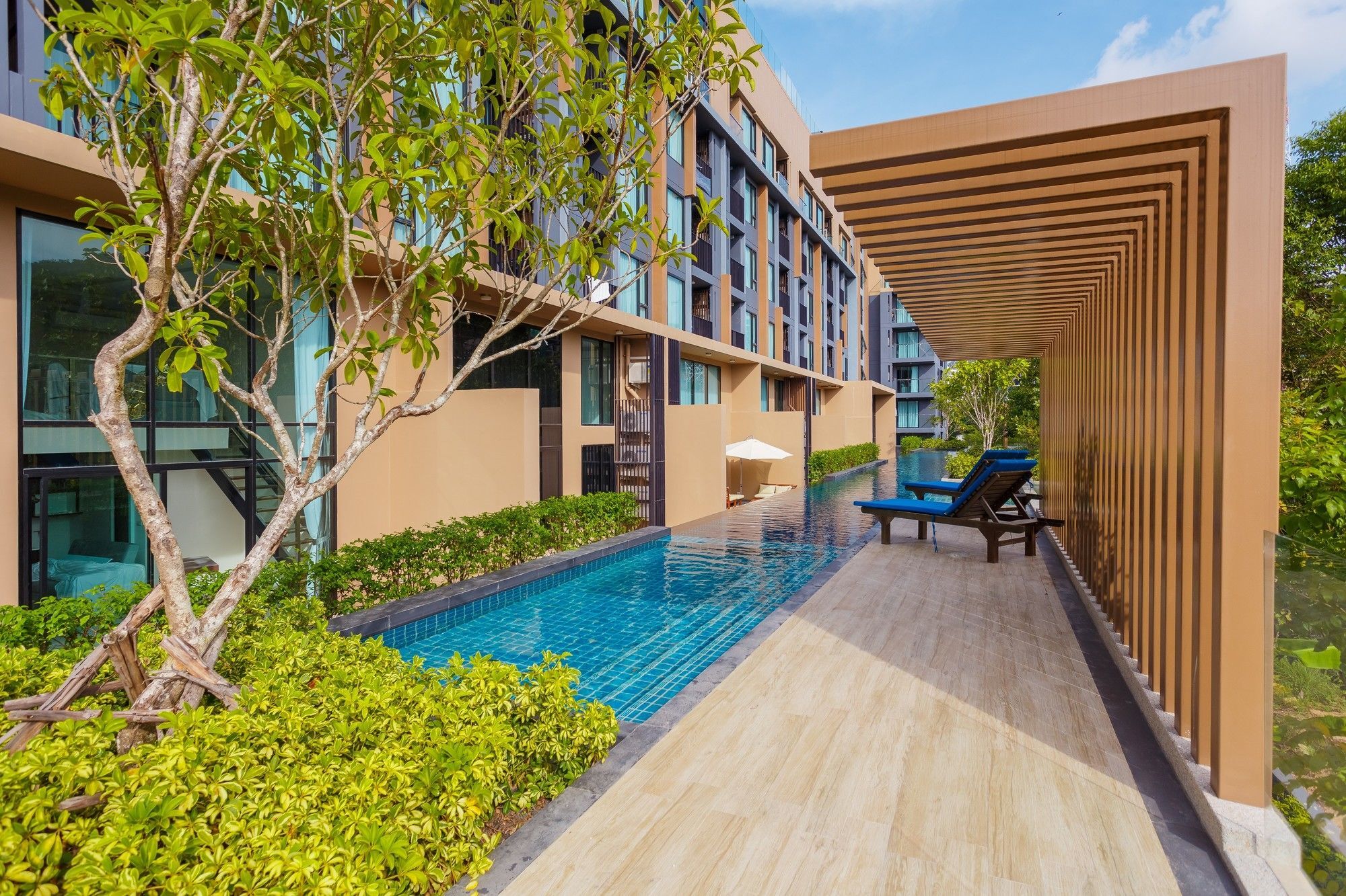 The Aristo By Holy Cow 201 Phuket