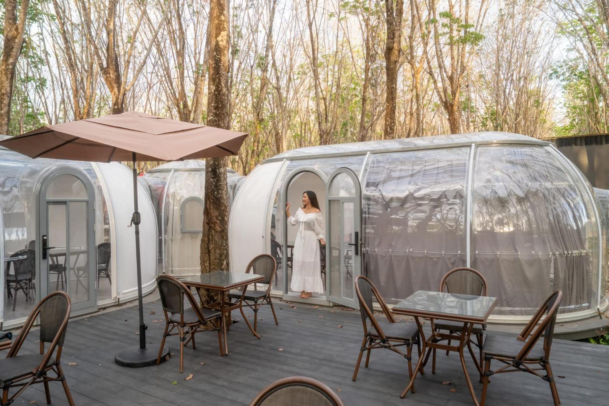 Hotel Timber Society Boutique Hideaway 4*