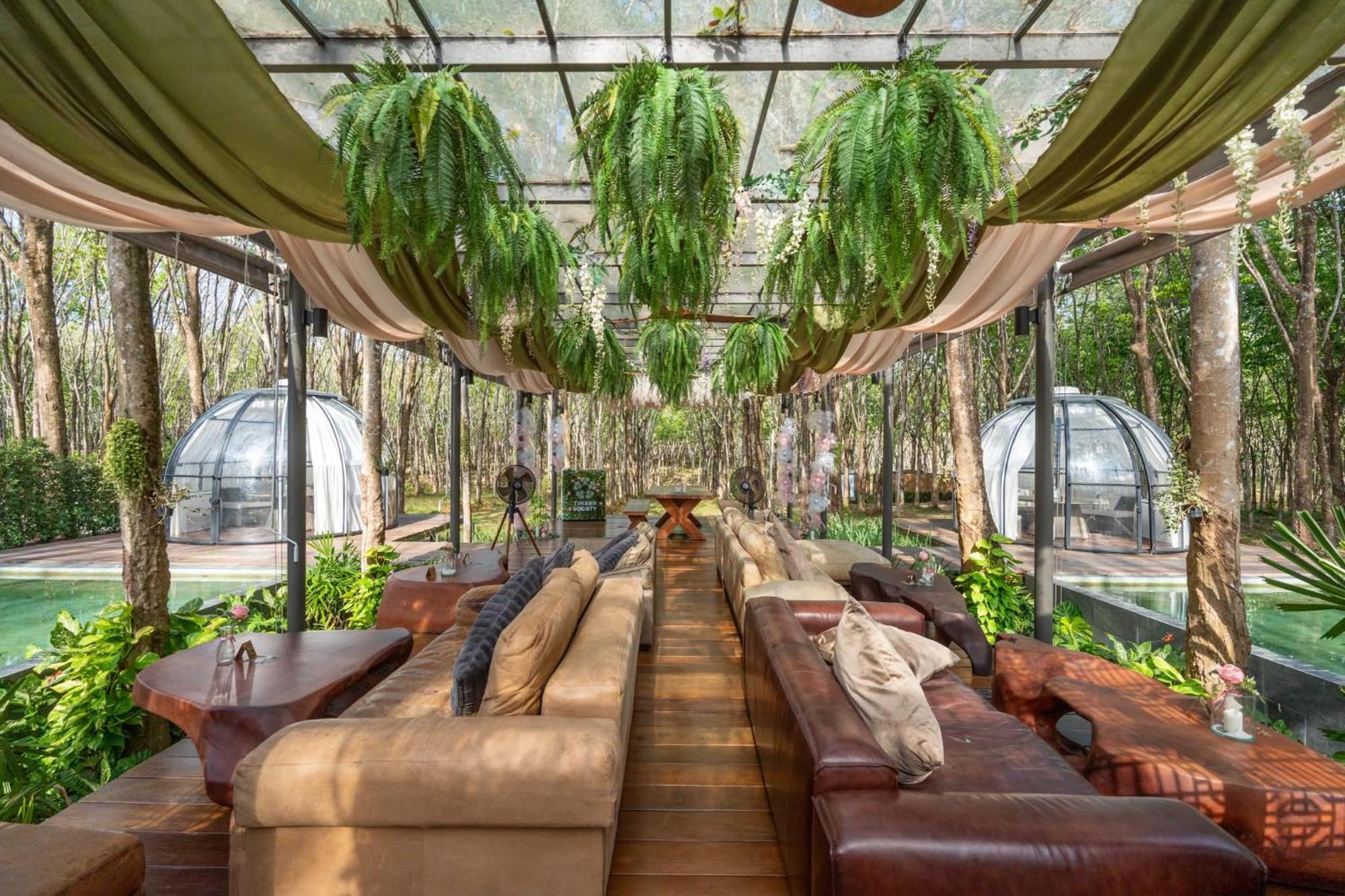 Timber Society Boutique Hideaway Phuket