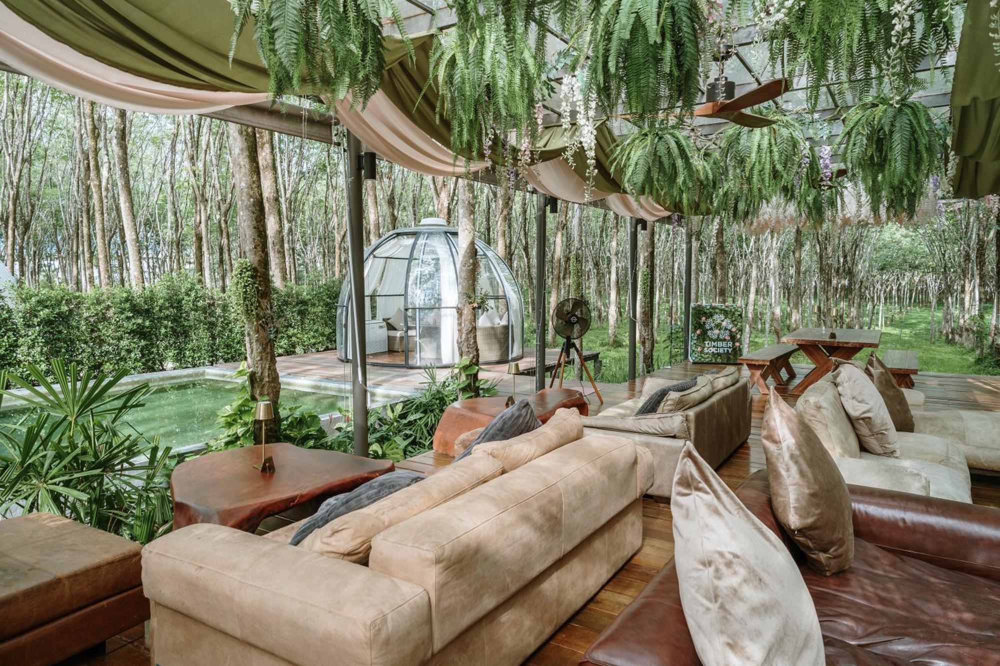 Hotel Timber Society Boutique Hideaway