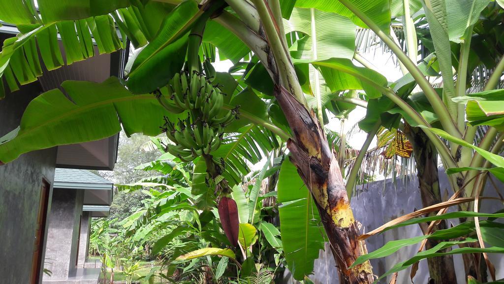 Layan Natural Bungalow 2*
