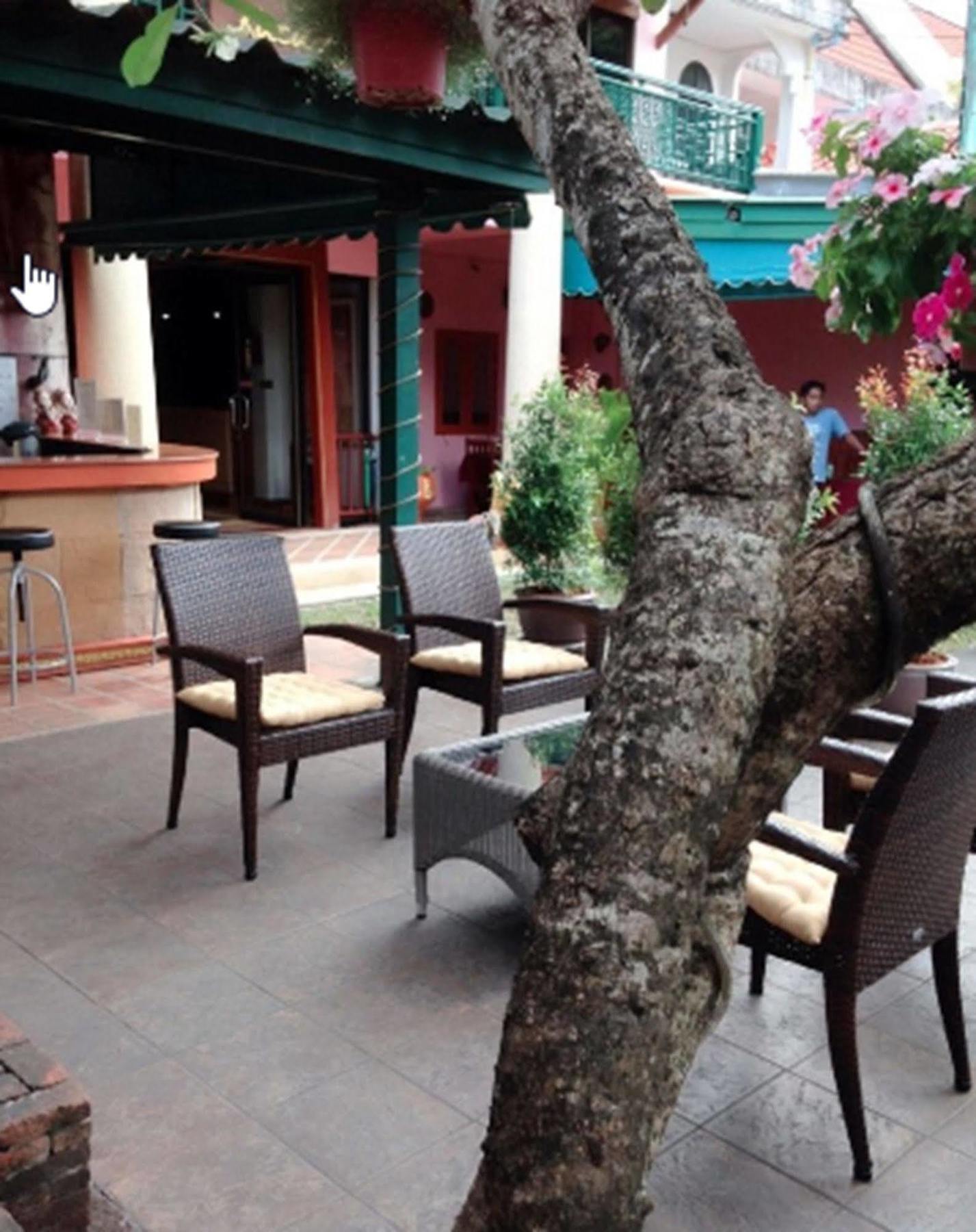Hotel Kata Minta