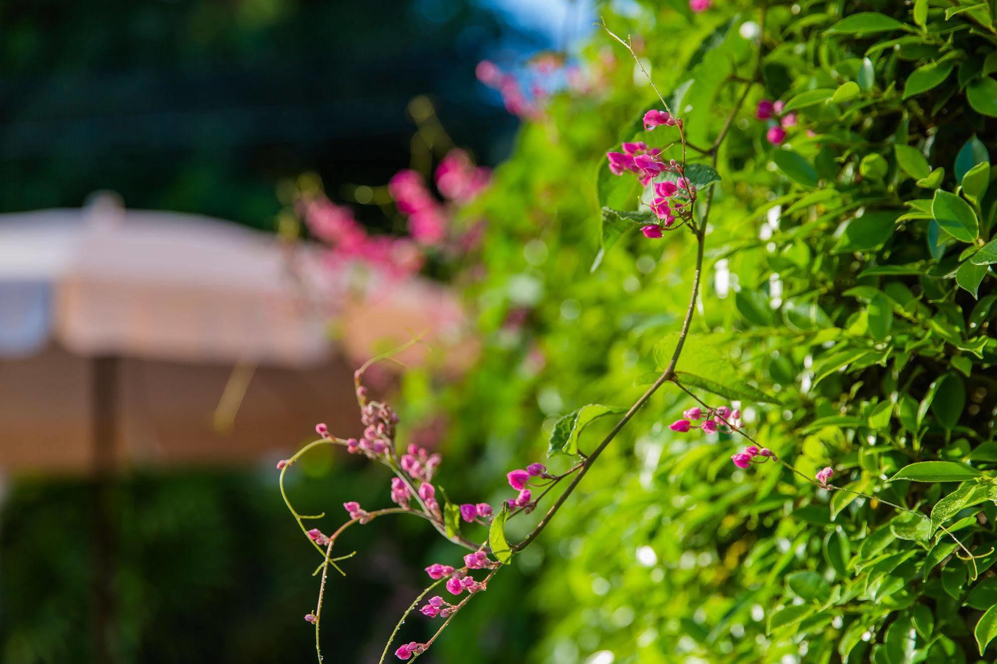 Hotel Lemon Tree Naturist Resort Naiharn Beach Phuket