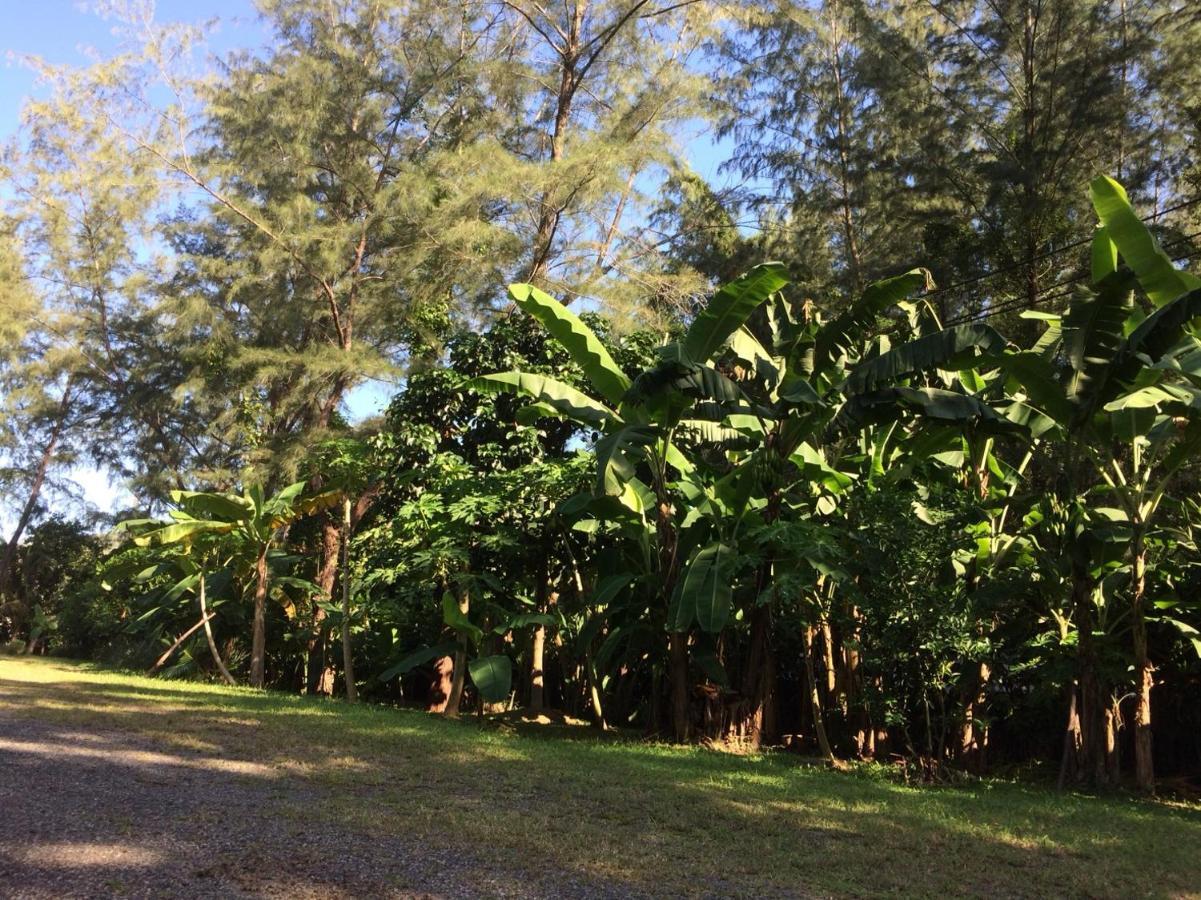 Layan Natural Bungalow Phuket